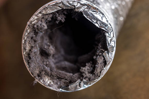 Best Local Air Duct Cleaning Services  in Muniz, TX