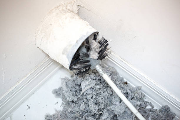 Best Affordable Duct Cleaning Services  in Muniz, TX